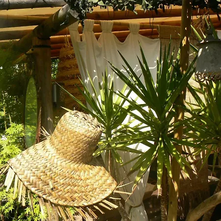 Apartment Le Cabana Cannes
