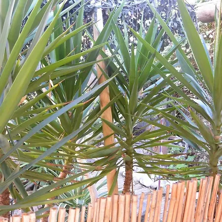 Apartment Le Cabana Cannes